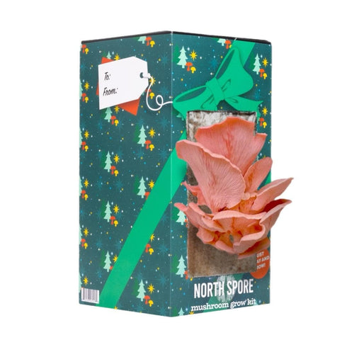 Organic 'Spray & Grow' Holiday Gift Wrap Mushroom Growing Kit